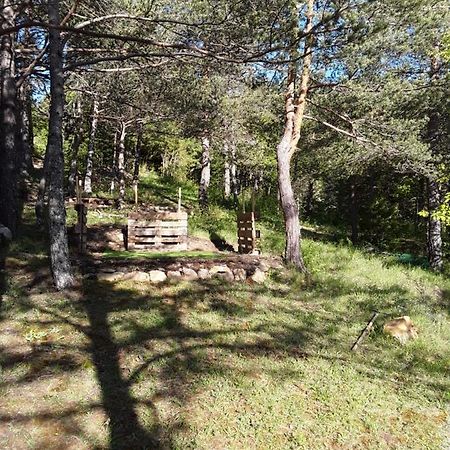 Gite Les Cigales Chateauvieux  Bagian luar foto
