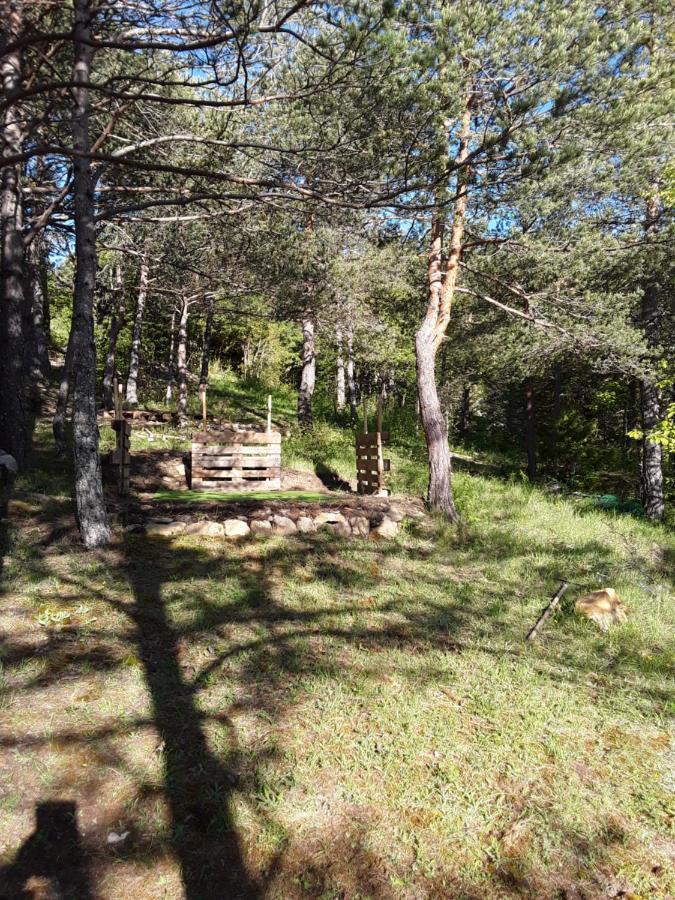 Gite Les Cigales Chateauvieux  Bagian luar foto
